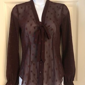 EXPRESS Burgundy See Through Blouse